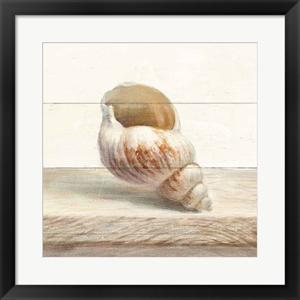 Framed Driftwood Shell I Print