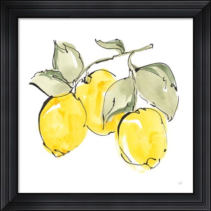 Framed Lemons IV Print