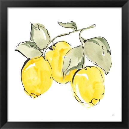 Framed Lemons IV Print