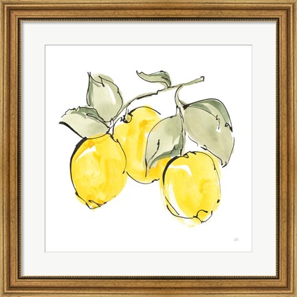 Framed Lemons IV Print