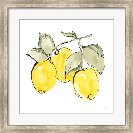 Framed Lemons IV Print