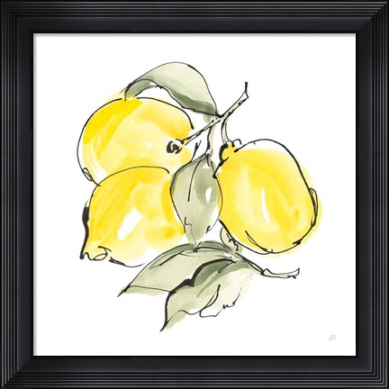 Framed Lemons III Print