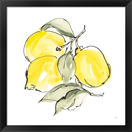 Framed Lemons III Print