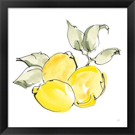 Framed Lemons II Print