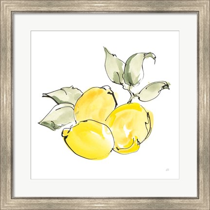 Framed Lemons II Print
