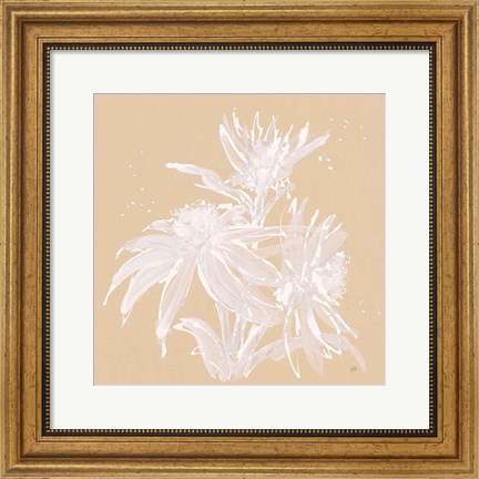 Framed Echinacea IV Print