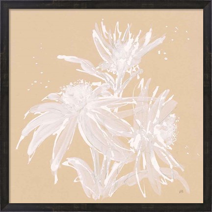 Framed Echinacea IV Print