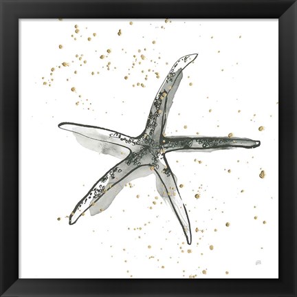Framed Starfish III Print