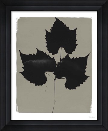 Framed Nature by the Lake Leaves I Gray Print