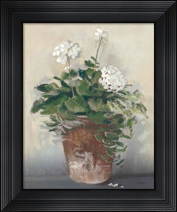 Framed Pot of White Geraniums Print