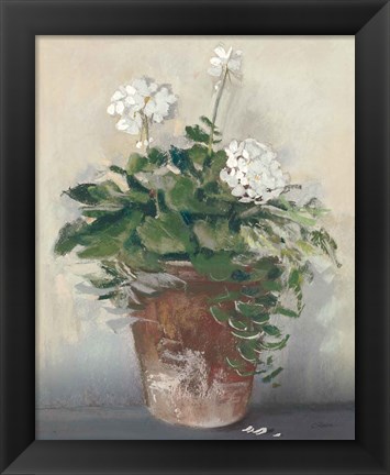 Framed Pot of White Geraniums Print