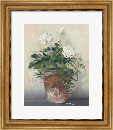 Framed Pot of White Geraniums Print