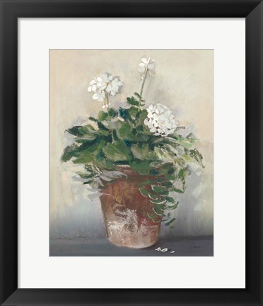 Framed Pot of White Geraniums Print