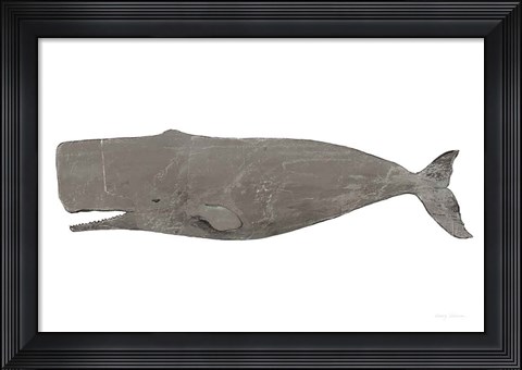 Framed Whale on White Print