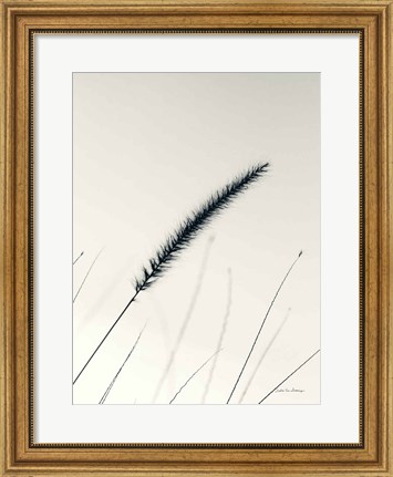 Framed Field Grasses V Print
