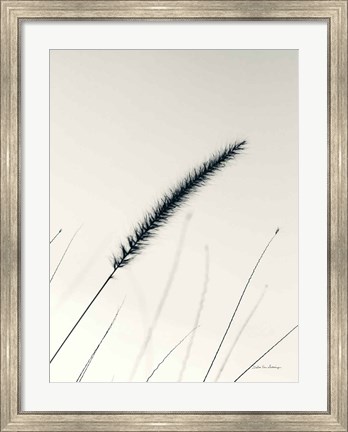 Framed Field Grasses V Print