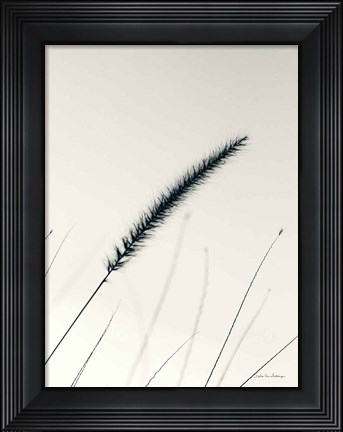Framed Field Grasses V Print