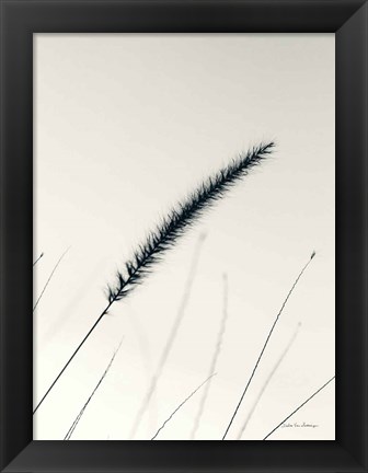 Framed Field Grasses V Print