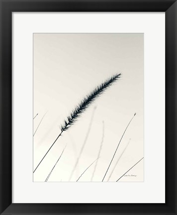 Framed Field Grasses V Print