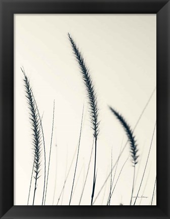 Framed Field Grasses IV Print