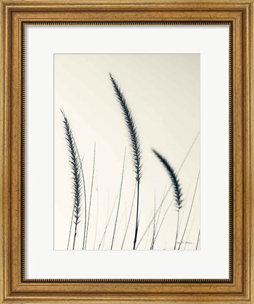 Framed Field Grasses IV Print