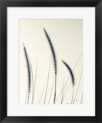 Framed Field Grasses IV Print