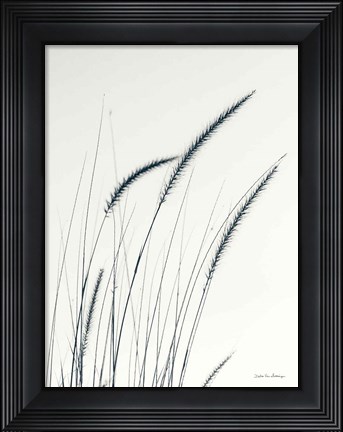 Framed Field Grasses III Print