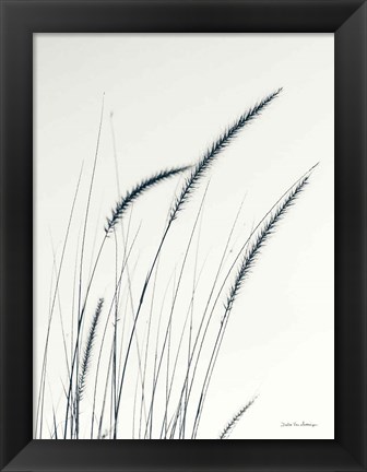 Framed Field Grasses III Print