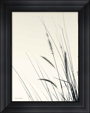 Framed Field Grasses II Print
