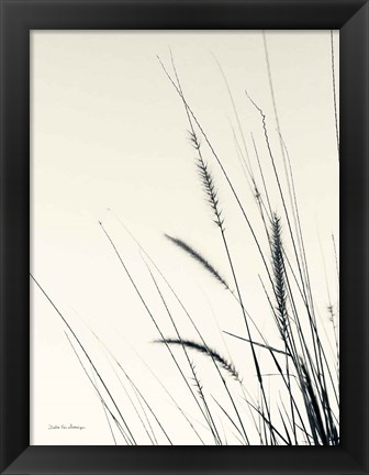 Framed Field Grasses II Print