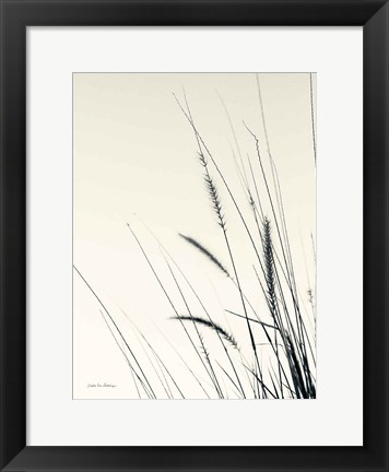 Framed Field Grasses II Print