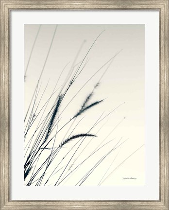 Framed Field Grasses I Print
