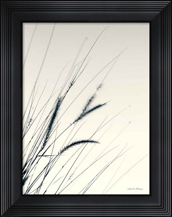 Framed Field Grasses I Print