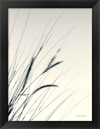 Framed Field Grasses I Print