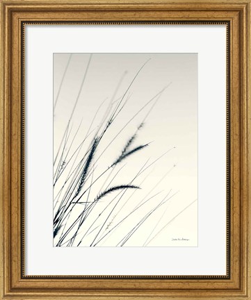 Framed Field Grasses I Print