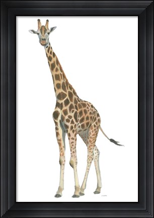 Framed Wild and Free V Print