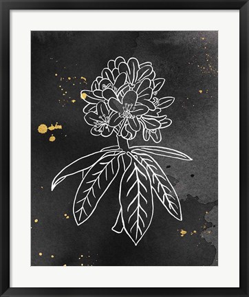 Framed Indigo Blooms II Black Print