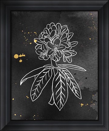 Framed Indigo Blooms II Black Print