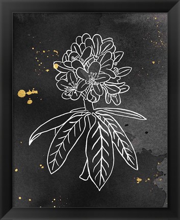 Framed Indigo Blooms II Black Print