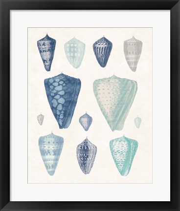 Framed Blue Shell Assortment II Print