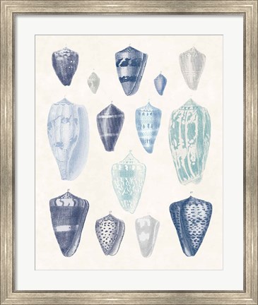 Framed Blue Shell Assortment I Print