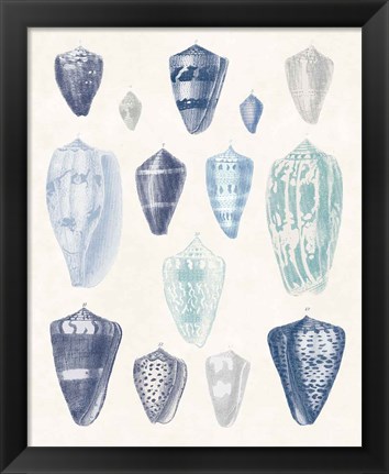 Framed Blue Shell Assortment I Print