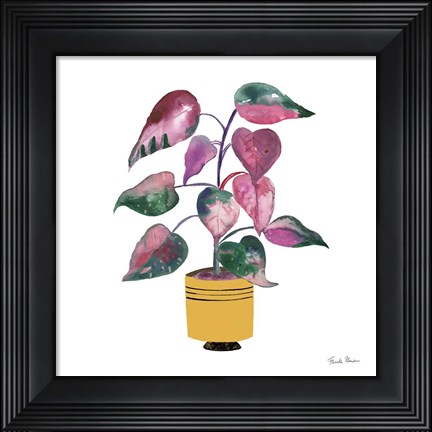 Framed Potted Jewels II Print