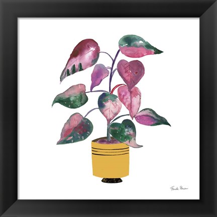 Framed Potted Jewels II Print