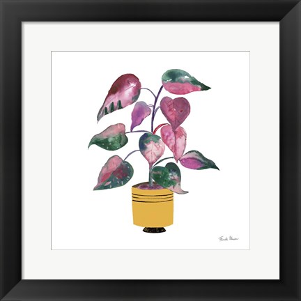 Framed Potted Jewels II Print