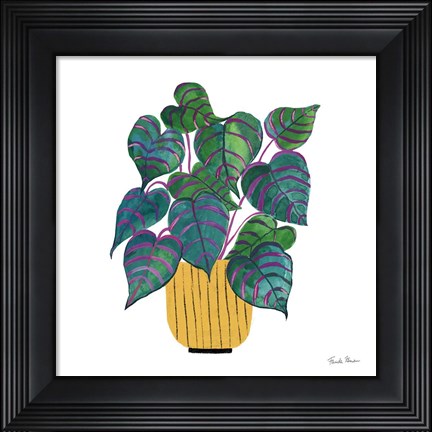 Framed Potted Jewels I Print