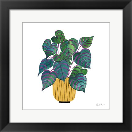 Framed Potted Jewels I Print