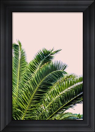 Framed Tropical Leaves On Blush I Print