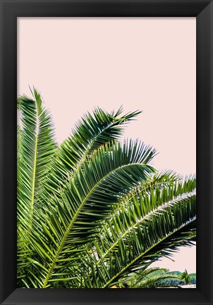 Framed Tropical Leaves On Blush I Print
