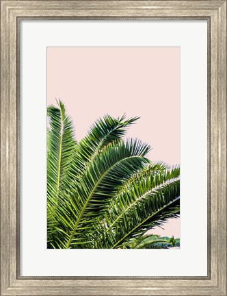 Framed Tropical Leaves On Blush I Print